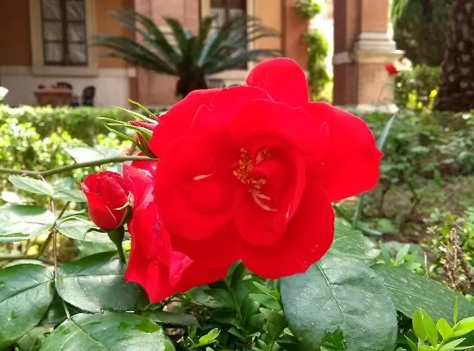 Casa S. Giuseppe Di Cluny Roma